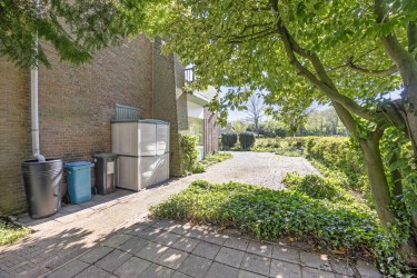 Tuin