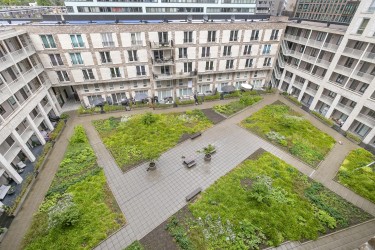 Extra foto's