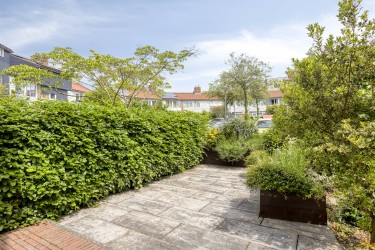 Tuin