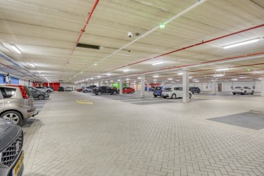 Mangoweg792321HzLeiden-26.jpg