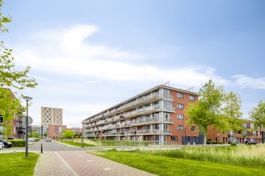 Omgeving