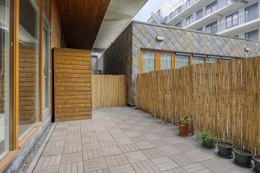 Tuin
