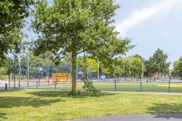 Omgeving