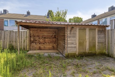 Tuin