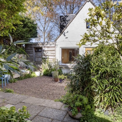 Groene tuin