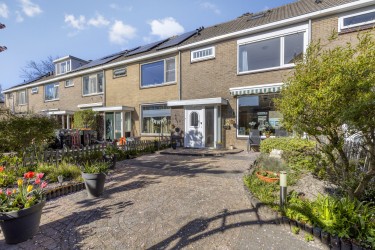 Tuin