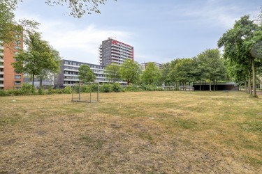 Omgeving