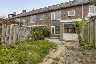 Zonnige tuin