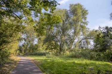 Extra foto's
