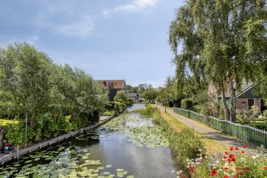 Omgeving