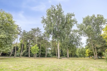 Extra foto's