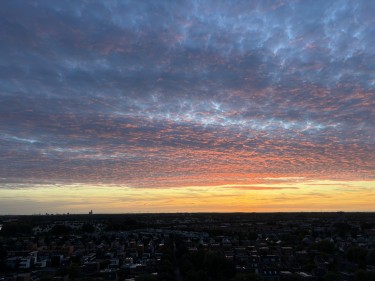 Extra foto's
