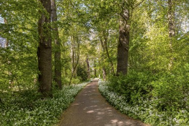 Omgeving