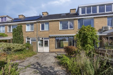 Tuin