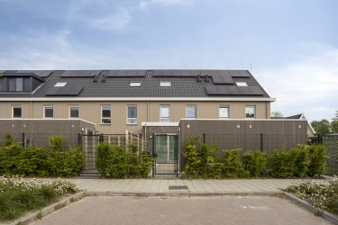 Tuin op het zuiden
