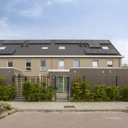 Tuin op het zuiden