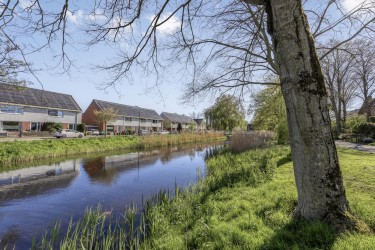 Omgeving