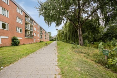 Extra foto's