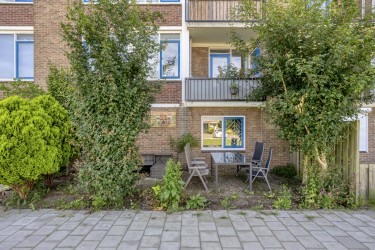 Tuin