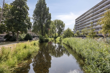 739464br_7672921_1670866_photos_arendshorst-124Arendshorst1242317CWLeiden-33.jpg