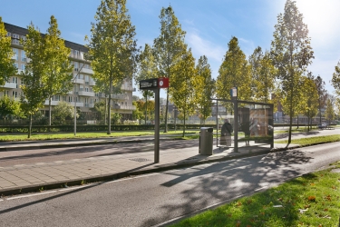 Omgeving