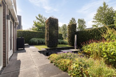 Zonovergoten tuin