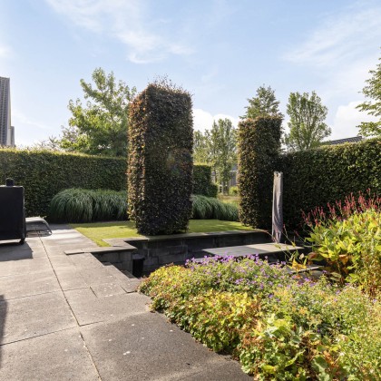 Zonovergoten tuin