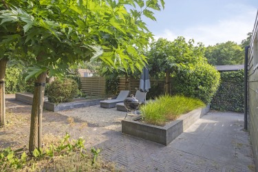 Tuin