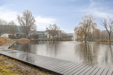 Omgeving
