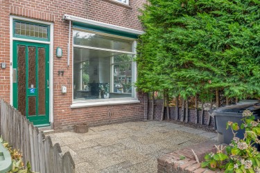 Tuin