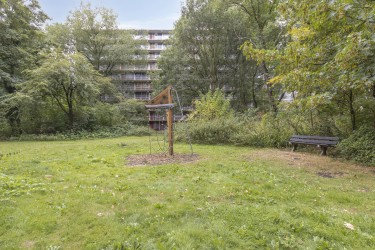 Omgeving