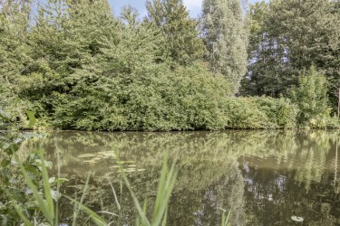 Extra foto's