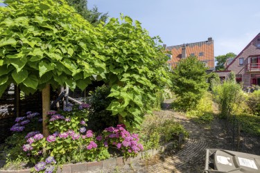 Tuin