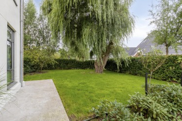 Extra foto's