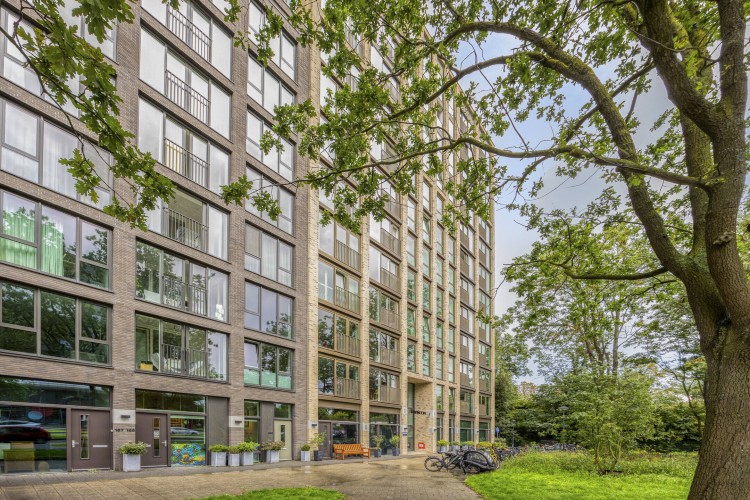 Mangoweg792321HzLeiden-02.jpg