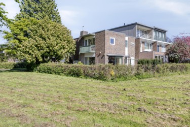 Tuin