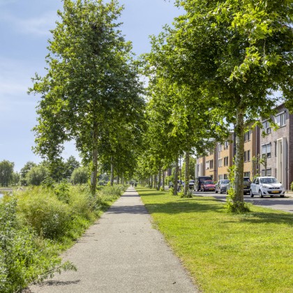 Groen en waterrijk