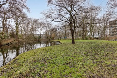 Veel groen