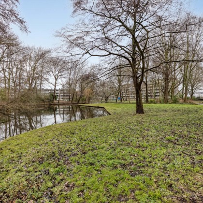 Veel groen