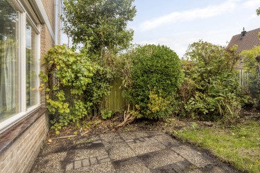 Tuin