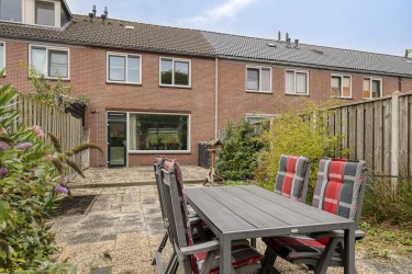 Tuin