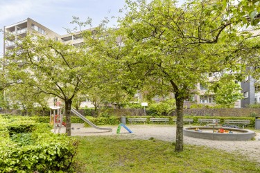 Omgeving