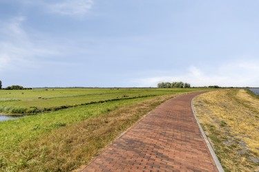Omgeving