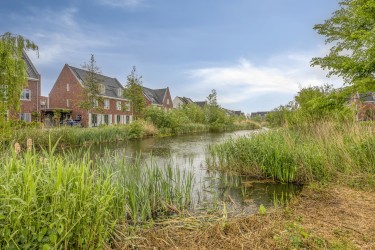 Omgeving