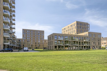 Omgeving