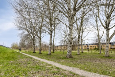 Extra foto's