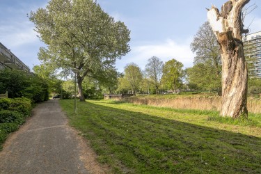 Extra foto's