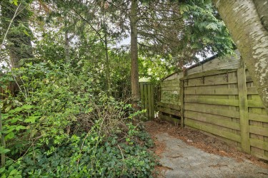 Tuin
