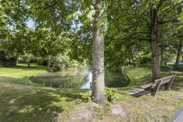 Omgeving