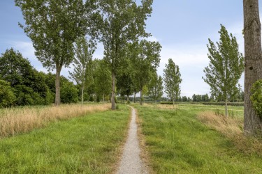 Extra foto's